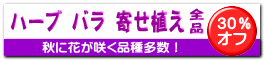 全品
