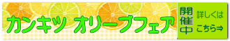 初夏のお庭づくり応援フェア