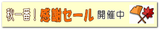 開催中