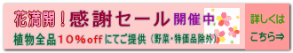 開催中