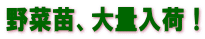 ؕcAʓׁI