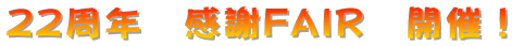 22���N�@����FAIR�@�J�ÁI
