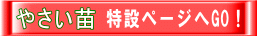 特設ページへGO！