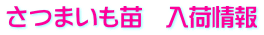 さつまいも苗　入荷情報